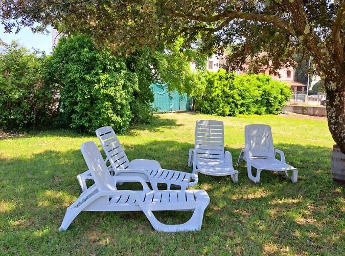 Eucaliptus Istrien Near The Apartment Rovinj