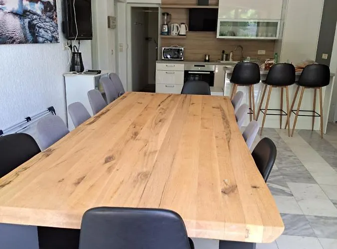 Eucaliptus Istrien Near The Rovinj