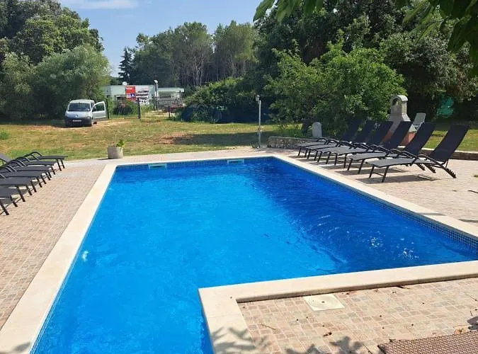 Eucaliptus Istrien Near The *