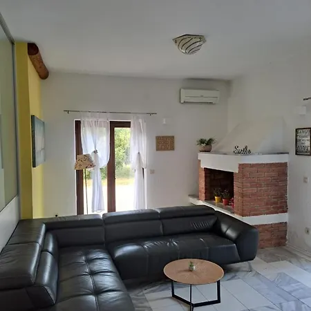 Eucaliptus Istrien Near The 로비니