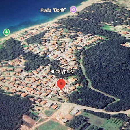 Eucaliptus Istrien Near The 아파트 로비니