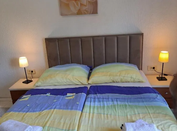 Eucaliptus Istrien Near The 로비니