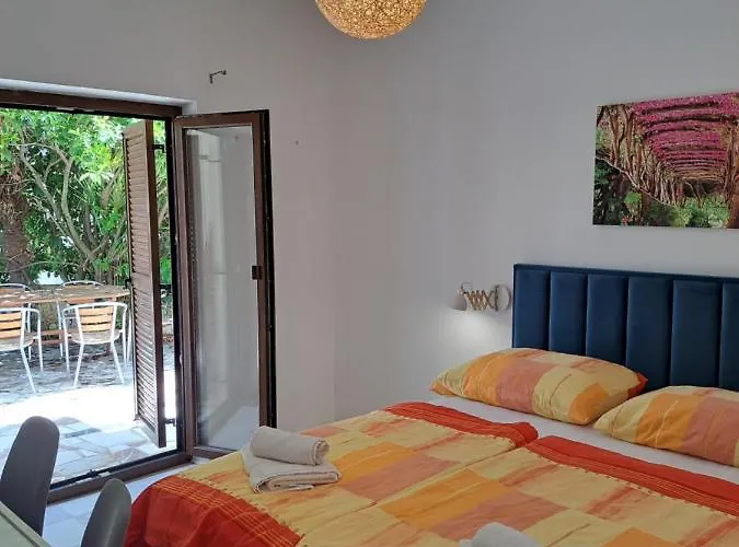 Eucaliptus Istrien Near The 아파트