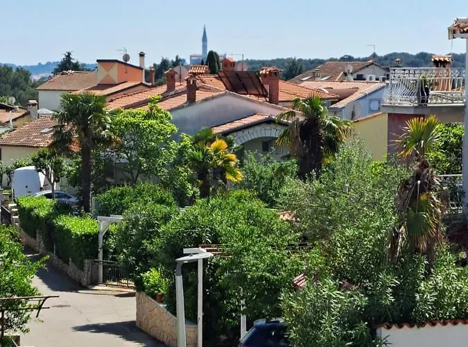 Eucaliptus Istrien Near The