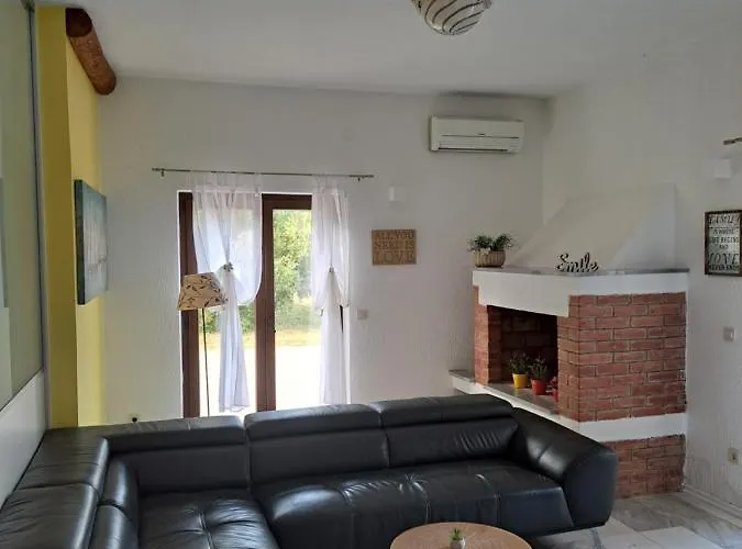 Eucaliptus Istrien Near The 로비니