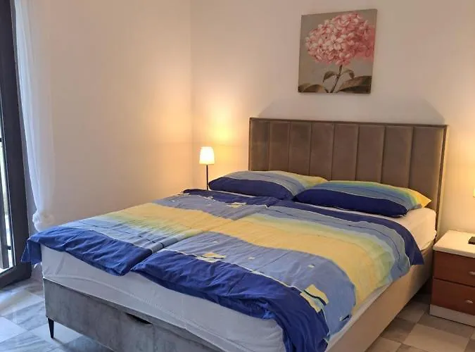 Eucaliptus Istrien Near The Ρόβινι