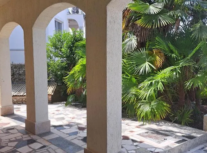 Eucaliptus Istrien Near The *