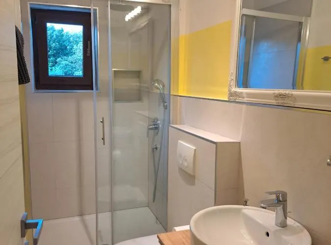 Eucaliptus Istrien Near The