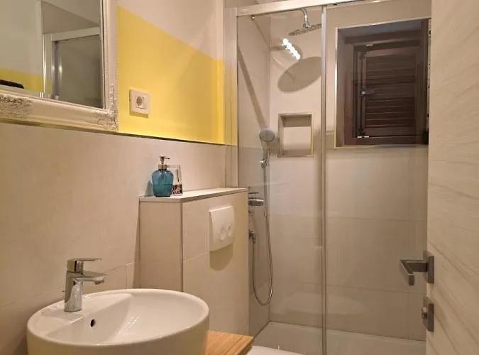 Eucaliptus Istrien Near The 로비니