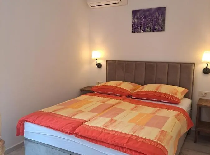 Eucaliptus Istrien Near The 아파트 *