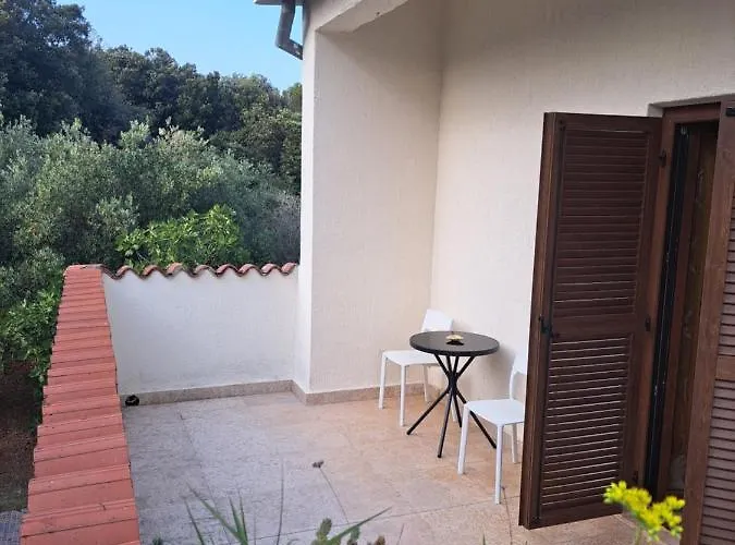 Eucaliptus Istrien Near The Διαμέρισμα Ρόβινι