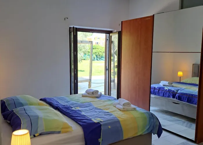 Eucaliptus Istrien Near The 로비니