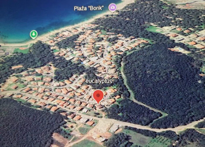 Eucaliptus Istrien Near The 아파트 로비니