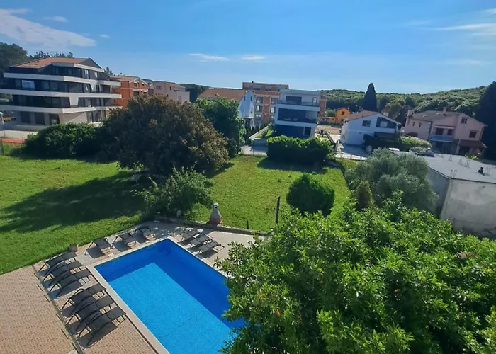 Eucaliptus Istrien Near The *