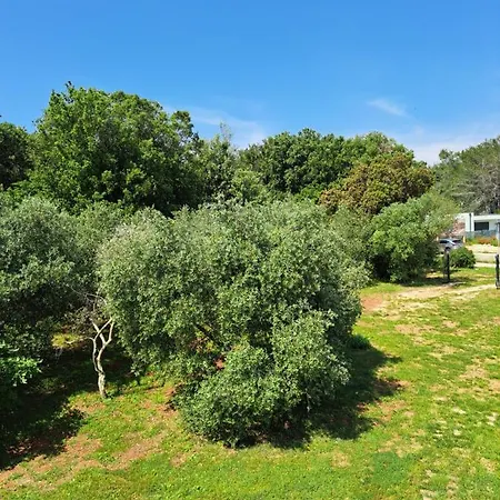 公寓 Eucaliptus Istrien Family Fiendly