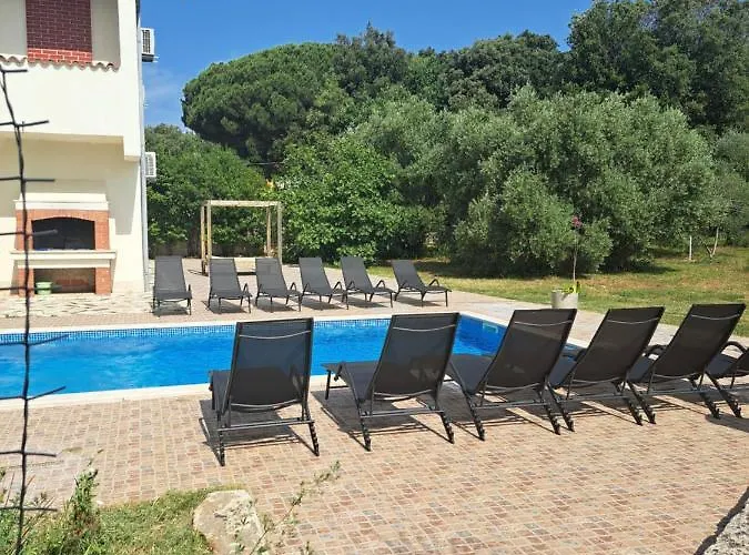 Eucaliptus Istrien Near The